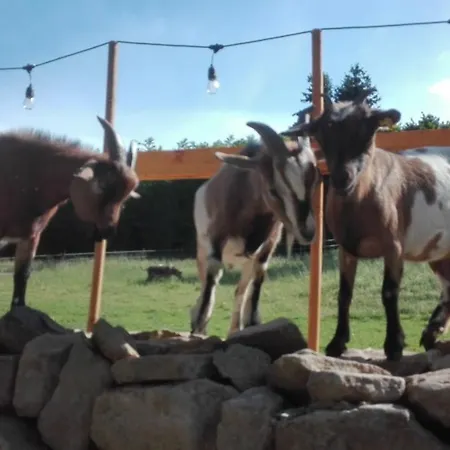 Zurück zur Natur - Urlaub im Zirkuswagen, Sommeratelier oder Tipi Adenbach Exterior foto