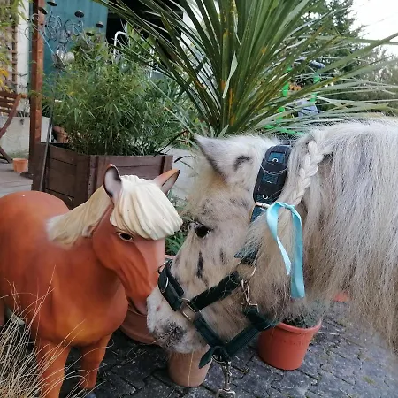 Zurück zur Natur - Urlaub im Zirkuswagen, Sommeratelier oder Tipi Adenbach Exterior foto