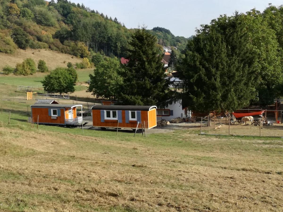 Zurück Zur - Urlaub Im Zirkuswagen, Sommeratelier Oder Tipi * Adenbach