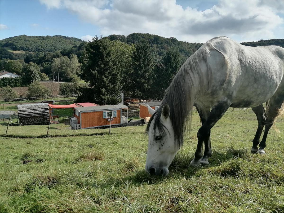 Zurück Zur - Urlaub Im Zirkuswagen, Sommeratelier Oder Tipi * Adenbach