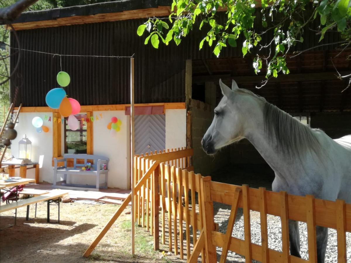 Apartment Zurück Zur - Urlaub Im Zirkuswagen, Sommeratelier Oder Tipi *