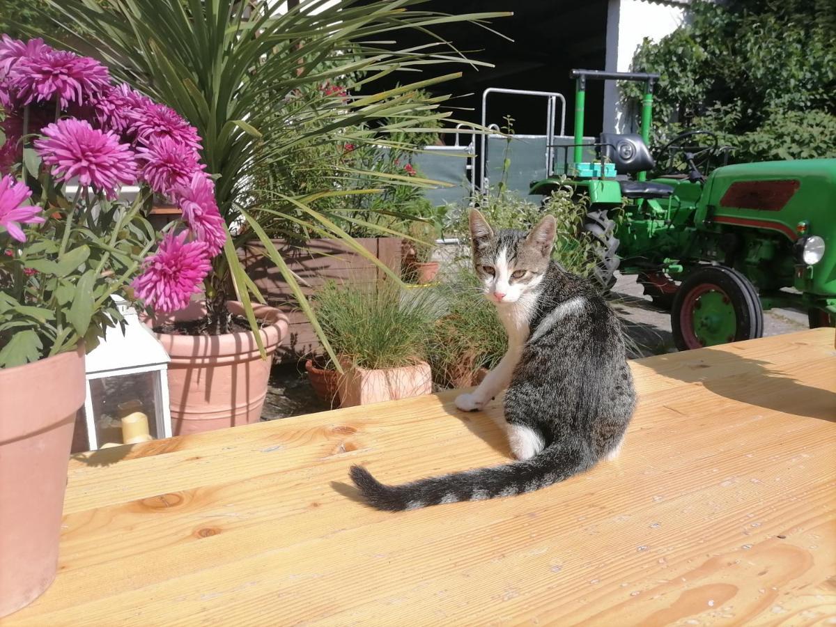 Zurück Zur - Urlaub Im Zirkuswagen, Sommeratelier Oder Tipi Apartment *