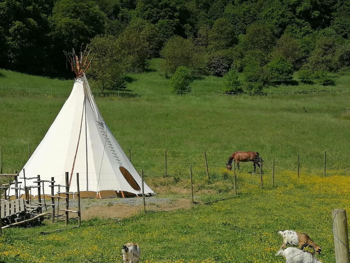 Apartment Zurück Zur - Urlaub Im Zirkuswagen, Sommeratelier Oder Tipi *
