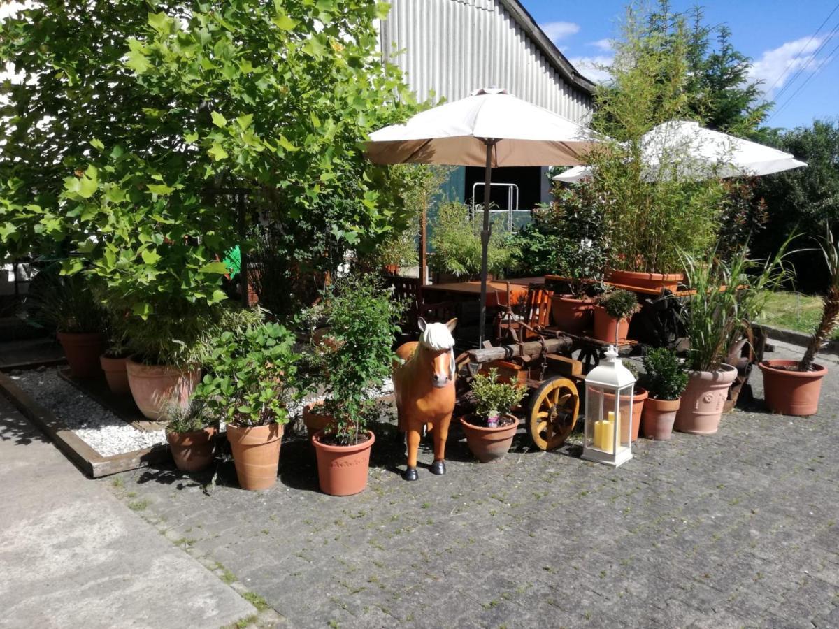 Zurück Zur - Urlaub Im Zirkuswagen, Sommeratelier Oder Tipi * Adenbach